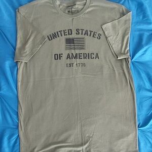Gildan United States of America Graphic Tee - Gray